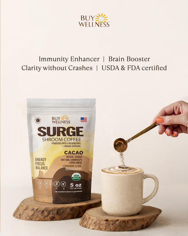 SURGE Mushroom Cocoa — 5-Mushroom Energy Drink, No Coffee, No Crash