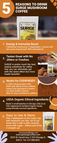 5 Mushrooms SURGE Cacao Ashwagandha Cinnamon & Clove Brain Function Booster