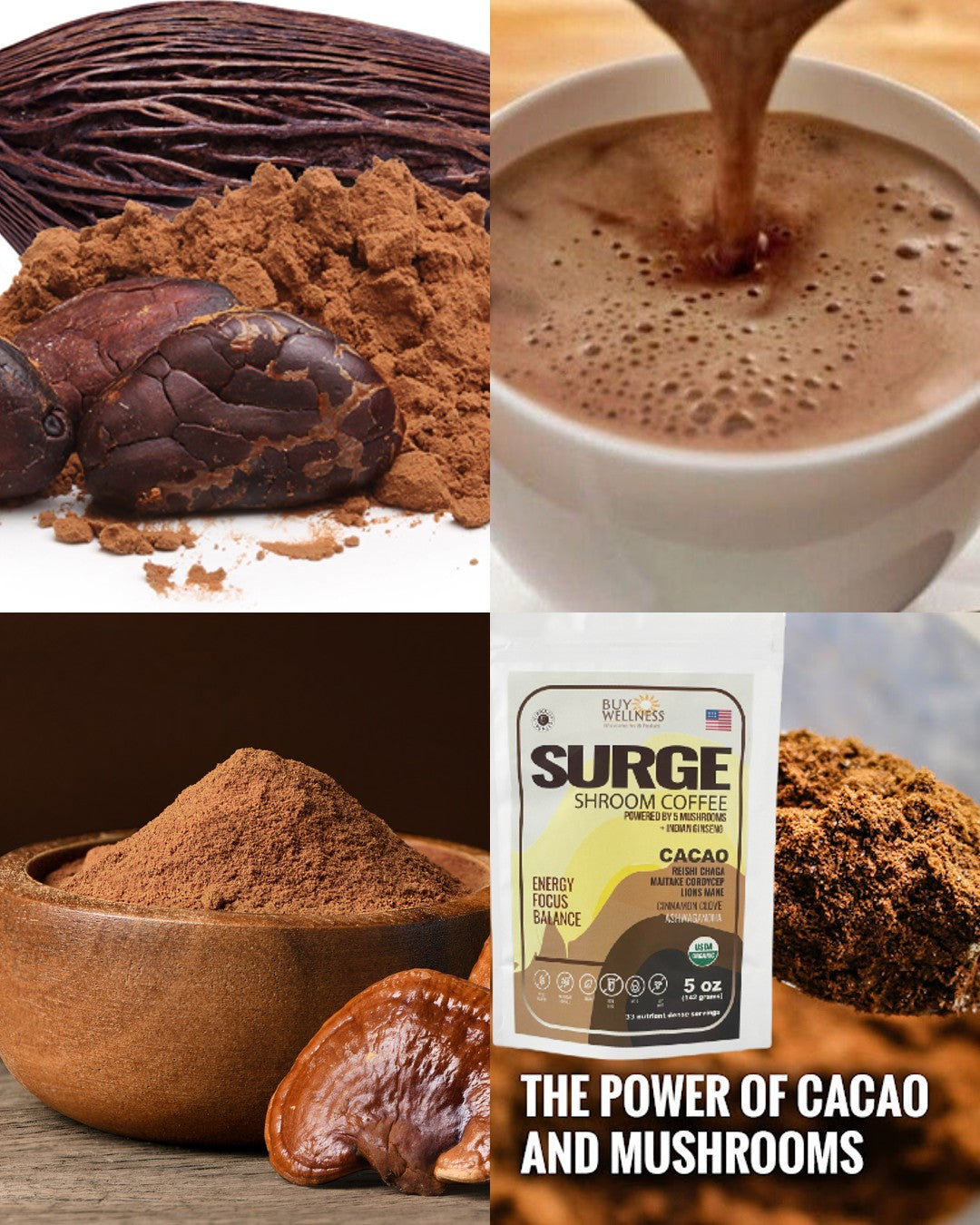 SURGE 5-Mushroom Energy Drink — no coffee no crash