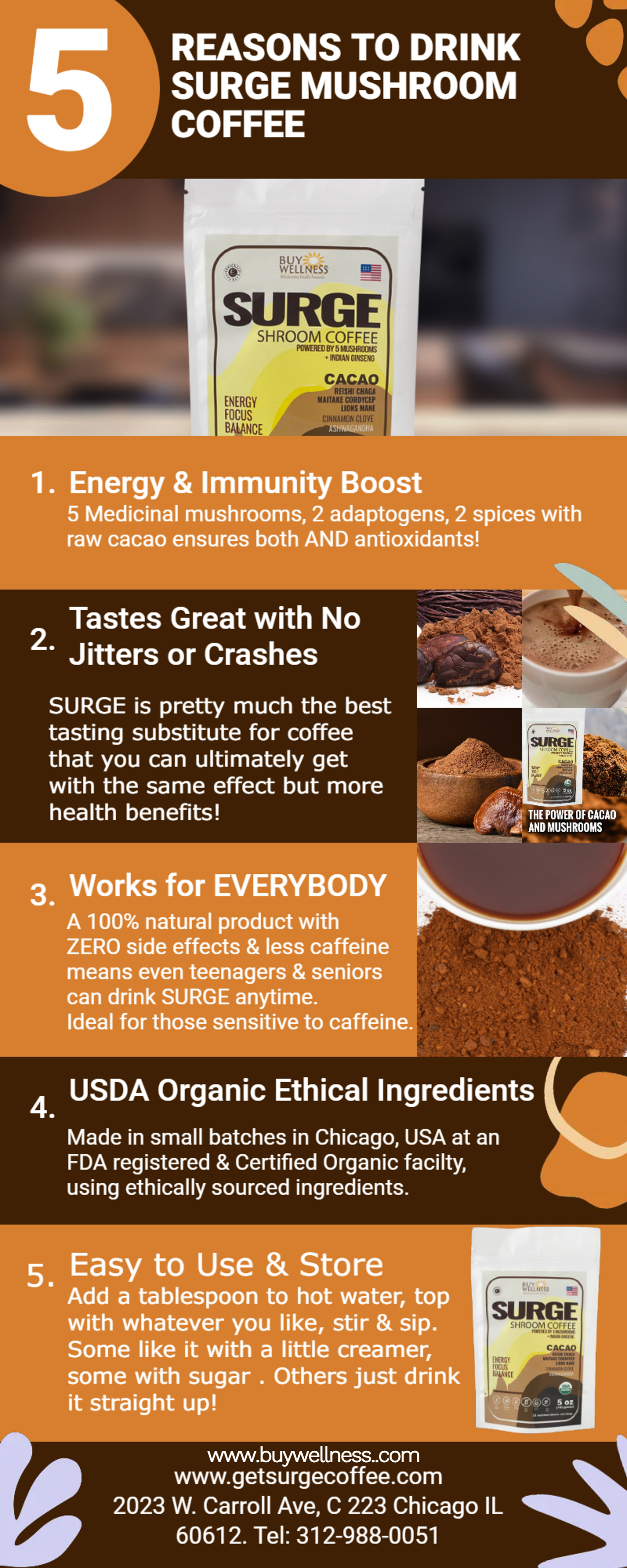SURGE Mushroom Cocoa ingredients infographic