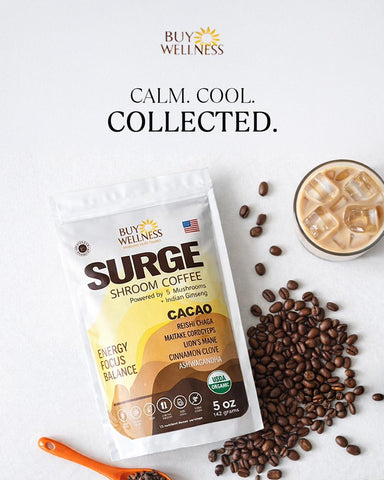 5 Mushrooms SURGE Cocoa Energy Drink